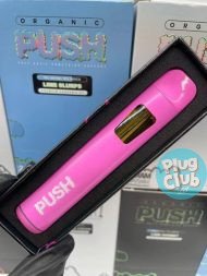 push disposable 2g