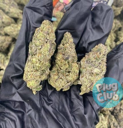 Pop Rox strain