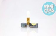 2g Disposables Glo Carts buy online