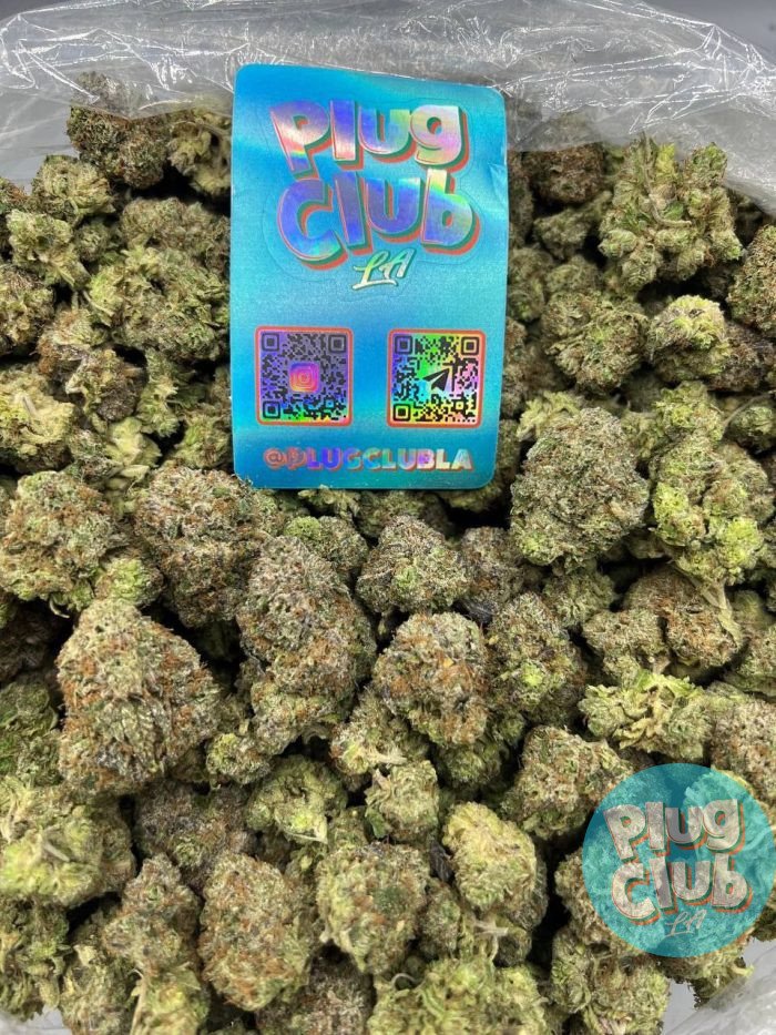 Gelato 41 strain