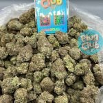 Blueberry Gelato strain