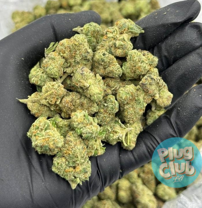 Fruit Loops strain