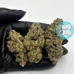 Secret cookies strain