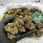 frosted cherry cookies strain