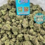 white gushers strain