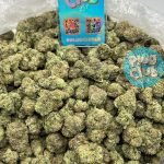 Melon Runtz strain