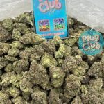 Lemon Cherry Gelato Strain