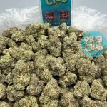 Jealousy mintz strain