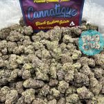 black raspberry gelato strain