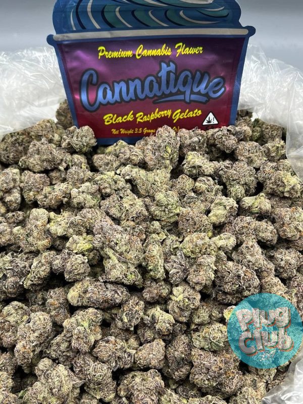 black raspberry gelato strain