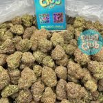 rainbow candy strain