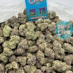 blue raspberry strain